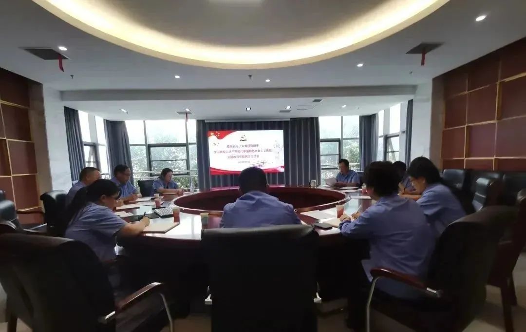 麦斯克电子党委班子召开主题教导专题民主糊口会